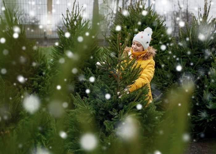 Foto: Stock/Syda Productions