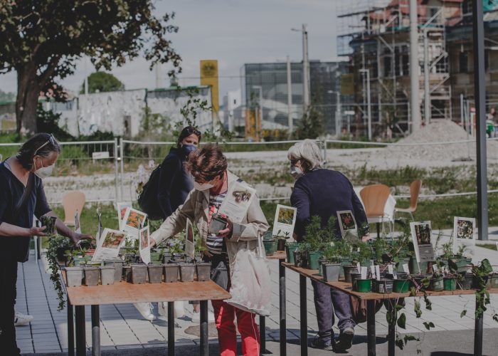 Jungpflanzenmarkt beim Stadtteilbüro (c) Anna Zora